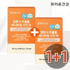 [1+1]프리온건강 양춘사 추출물 바나바잎 추출물 정 총 4개월분