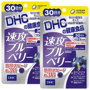 DHC 속공 블루베리 약 60일분 120알