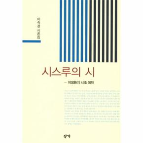 시스루의 시(이숙경 시론집)