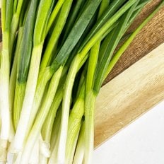  깐쪽파 손질쪽파 실파 파김치 파전 500g