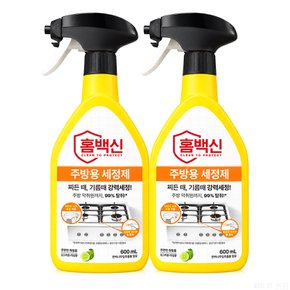 홈백신 주방용 세정제 600ml x 2개 ~ 찌든때 기름때 강력세정