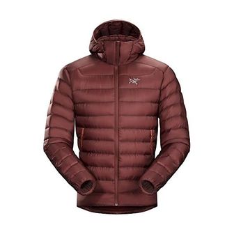  일본 아크테릭스 바람막이 ARCTERYX 세륨 LT 후디 남성 셀륨 18013 1484840