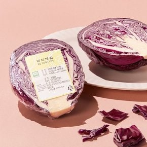 친환경 적채 1/2통 (300g)