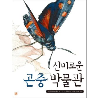  신비로운 곤충 박물관 (양장)