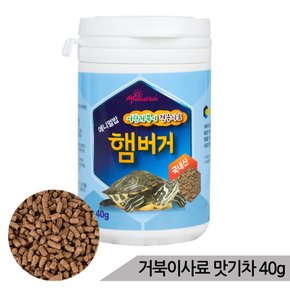 맛기차 40g/수생거북이 전용사료/거북이먹이/거북이밥