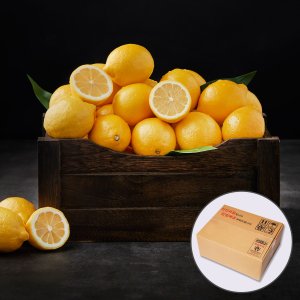 맛딜 썬키스트 초이스 레몬 소과 17kg(165과내외)