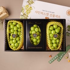 [쓱배송] 샤인머스캣 세트 2.5kg (3입)