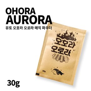 불멍가루 30g 오로라 캠핑용품