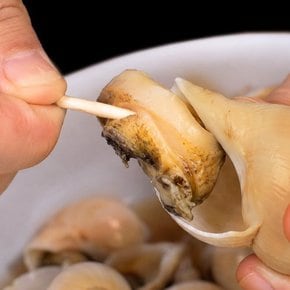 백골뱅이 (대) 1kg / 10-16미 내외