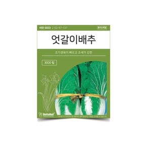 베하몰 텃밭 채소 씨앗 엇갈이배추