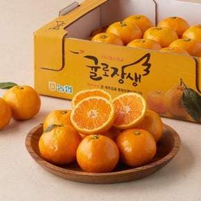 가을 하우스 감귤 2kg 박스