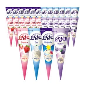 요맘때 콘 아이스크림 4종 혼합 24개 (플레인6+딸기6+슈팅스타6+블루베리6)