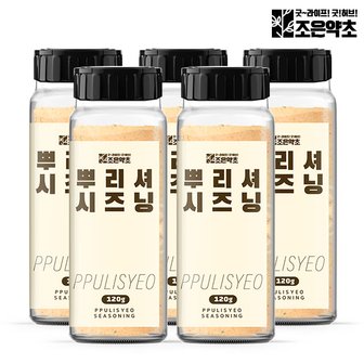 굿허브 뿌리셔 가루 시즈닝 120g 소스 분말 향신료 x 5