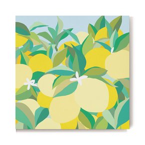 [무케] 엘디프  Lemon tree - 박노을 작가 원화 그림 아트
