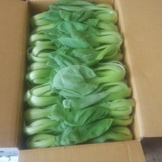 청경채 2kg  GAP농산물