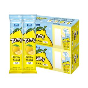 얼려먹는 피크닉 레몬 85ml 12개입 (6개입 x 2박스)[36011313]