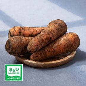 친환경 당근 특 2kg 국내산 안심하고 먹는 흙당근 DO[36073055]