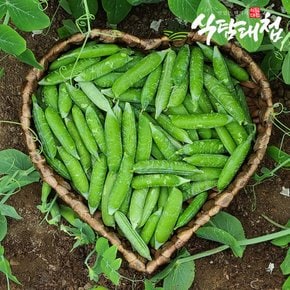국내산 콩깍지포함 완두콩 500g 내외