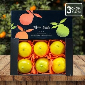 달콤함이 입안 가득 퍼지는 명품제주 프리미엄 황금향 선물세트 1.5kg 대과