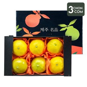 달콤함이 입안 가득 퍼지는 명품제주 프리미엄 황금향 선물세트 1.5kg 대과
