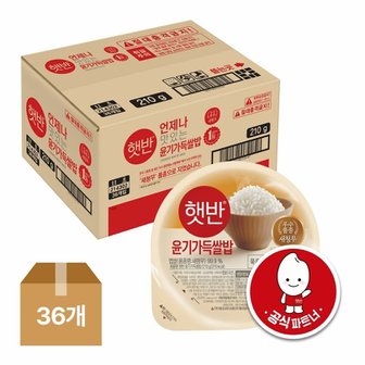  [VIP]햇반 윤기가득쌀밥210GX36개
