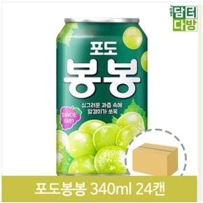 포도 알갱이 음료 24캔 340ml 과즙 주스 마트 업소 (S9379401)