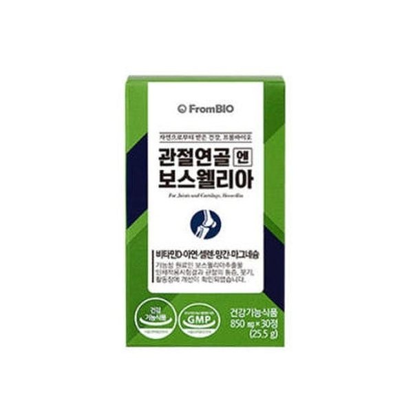 확대된 대표 image1