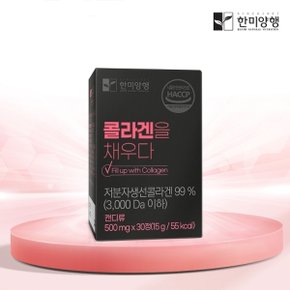 콜라겐을 채우다 먹는 저분자 피쉬 콜라겐 500mg 30정 4박스