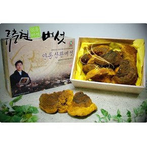 국내산 상황버섯(상품) 1kg 선물세트 (WCAFD0F)