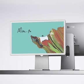 오닉스 boox Mira Pro 모니터 25.3인치 컬러 E-ink 전자 스크린 고화질 모니터 윈도스/IOS 호환