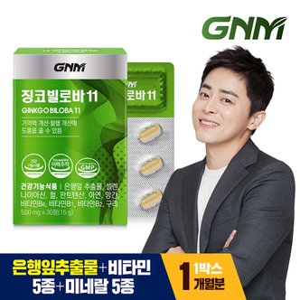 GNM자연의품격 징코빌로바11 1박스 / 은행잎추출물 비타민B 아연 판토텐산