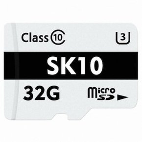 Axxen micro SD SK10 (256GB)