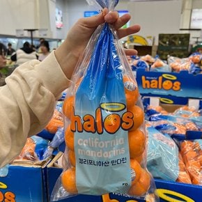 트레이더스 할로스 만다린 2kg