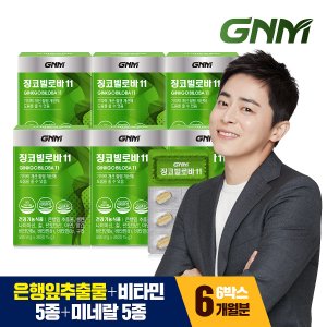 GNM자연의품격 징코빌로바11 6박스 / 은행잎추출물 비타민B 아연 판토텐산