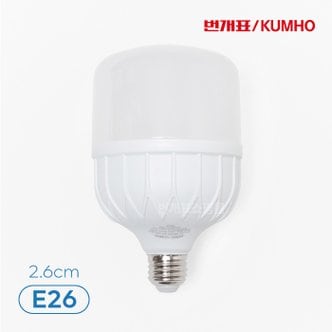 번개표 LED 고와트 전구 30W (E26)