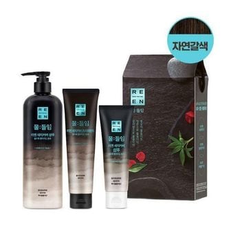  리엔 물들임 새치커버 샴푸 Gift Set 2종흑갈색자연갈색 샴푸 450ml+트리트먼트150ml+샴푸 80ml