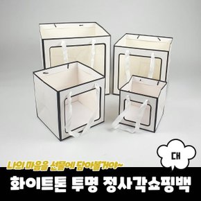 화이트톤 투명 정사각쇼핑백 종이가방 대 (WC3EAAE)