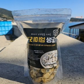 고성 굴 비파괴 생굴 깐굴 400g