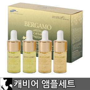 캐비어 하이 포텐시 앰플세트 13ml X4개