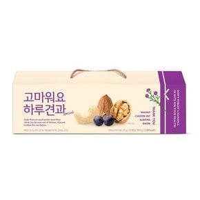 [쓱배송] 고마워요 하루견과 special 20g * 30입