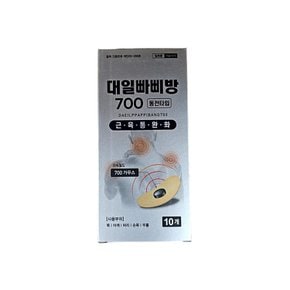 대일 빠삐방 700 가우스 의료용 근육완화 동전타입 자석패치 낱개10개 1갑