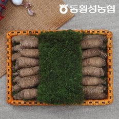 [동횡성농협] 강원도 더덕선물세트_더덕 1kg