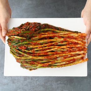 전라도 전통식품 인증 김치 파김치 2kg /HACCP인증
