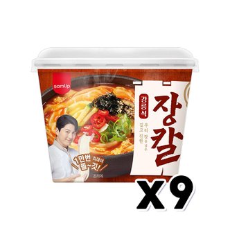  하이면 장칼국수 즉석용기큰컵 206g x 9개