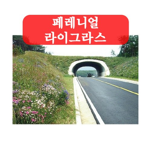 이미지1