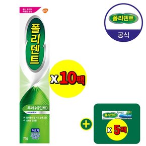 의치 부착재 민트향 70g 10개+샘플 5개