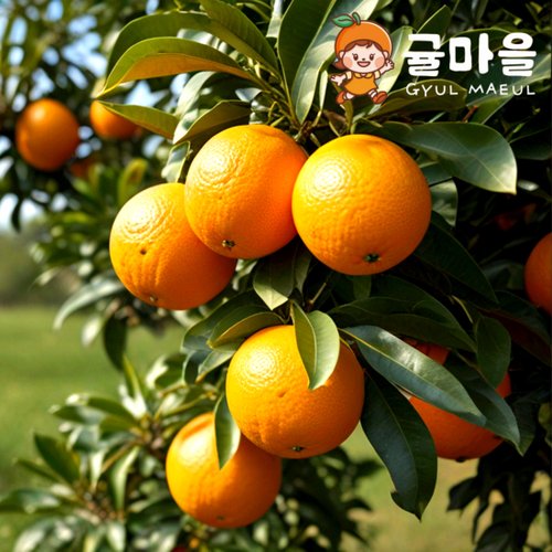추가3이미지