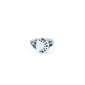 HR 307R_Silver Ring