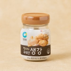 청정원 맛선생 국내산생강(분말) 13g