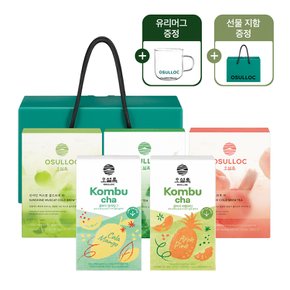 하절 아이스티 5종 패키지(선물지함,유리머그증정)
